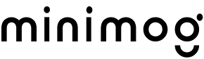 SKS 1919